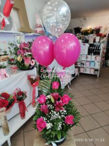 cvecara_gift_balon_ shop_ borca_cvece_u_boxu